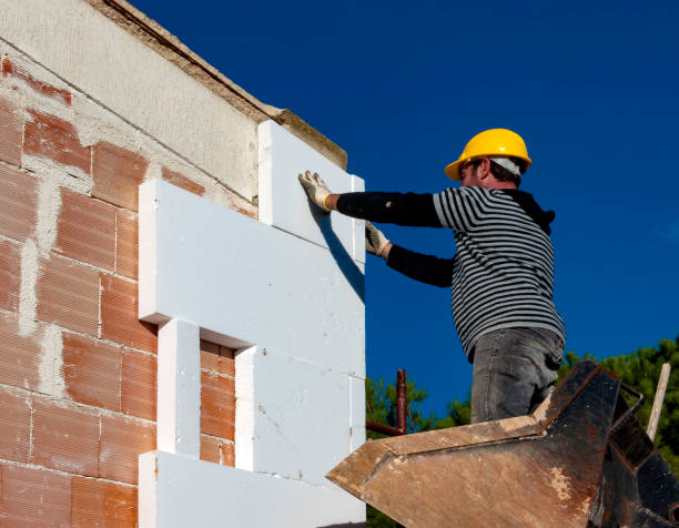 Best Cellulose Insulation in Wolcottville, IN