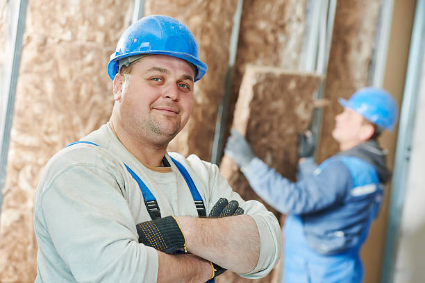 Best Residential Insulation in Wolcottville, IN