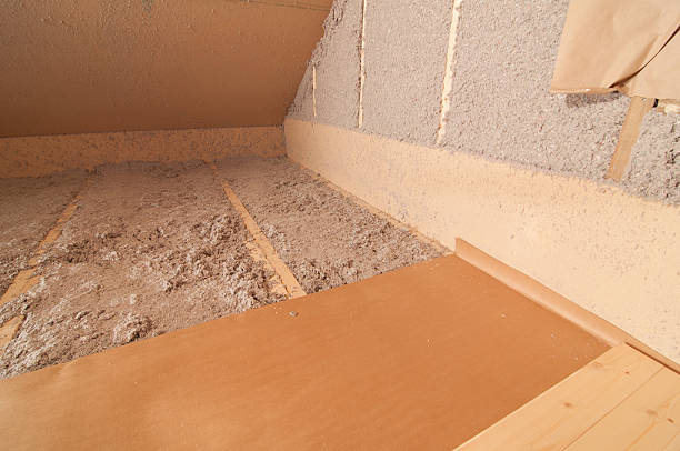 Best Eco-Friendly Insulation in Wolcottville, IN