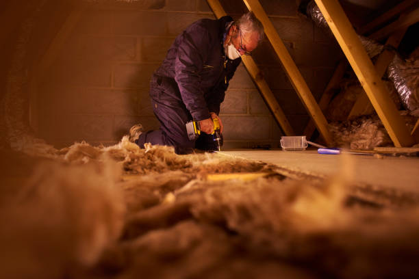 Best Geographic-Specific Insulation Services in Wolcottville, IN